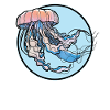 Jellyfish Jellyfish
