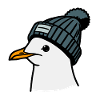 Seagull blue