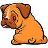Pug - Dog Fan - Gift