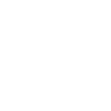 The Southern Cross