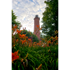 Gąski lighthouse, lighthouse, flowers