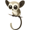 Galago