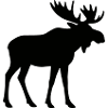 elk