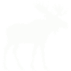 elk