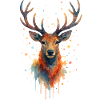 Cerf Aquarelle