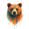 Bär Aquarell