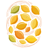 Fresh citrus illustration