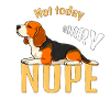 Not today beagle, sorry