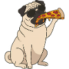 Pug Eating Pizza Funny