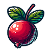 Cranberry
