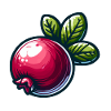 Kleine Cranberry