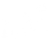 Snowboarder Winter Holiday Gift