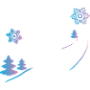 Skiers in winter snow