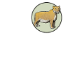 Ligers Liger
