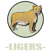 Ligers Liger