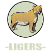 Ligers Liger