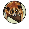 Lois lents Loris