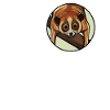 Slow lorises Loris