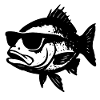Fish with sunglasses