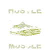 Highland Hustle American Muscle Mountains Adventure