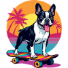 Bouledogue patineur
