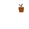 Pug chest pocket