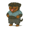 Rottweiler réfrigéré