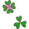 Four-leaf clover