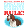 Anglais Springer Spaniel Chien Cadeaux