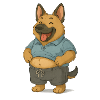 Lustiger Schäferhund im Freizeitlook