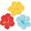 Hibiscus Trio – Bright colours with outlines