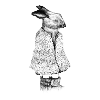 Hase gezeichnet im Mantel, schwarz-weiß