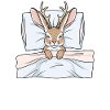 Official Sleepshirt