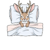 Favorite Sleepshirt