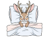 Chemise de nuit officielle