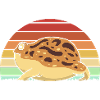Frosch Desert Rain Frog