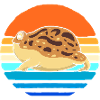 Frosch Desert Rain Frog