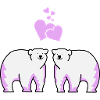 Polar bears in love