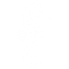 Seepferdchen | Schwimmabzeichen