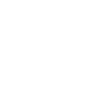 Squid