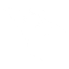 Manta ray