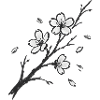 Kirschblüte Klassisch japanisch handgezeichnet