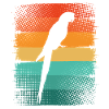 Parrot