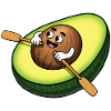 Rowing Avocado