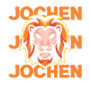 Lion Jochen