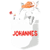 Raccoon Johannes