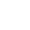 Limited Edition 1979