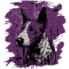 Bullterrier