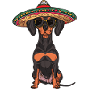 Doberman Dog Funny Sombrero