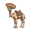 Camel Comic Funny Sombrero
